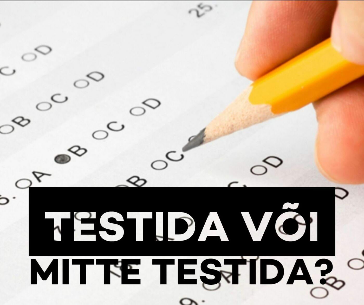 Mesilane 5/11 kaanepilt