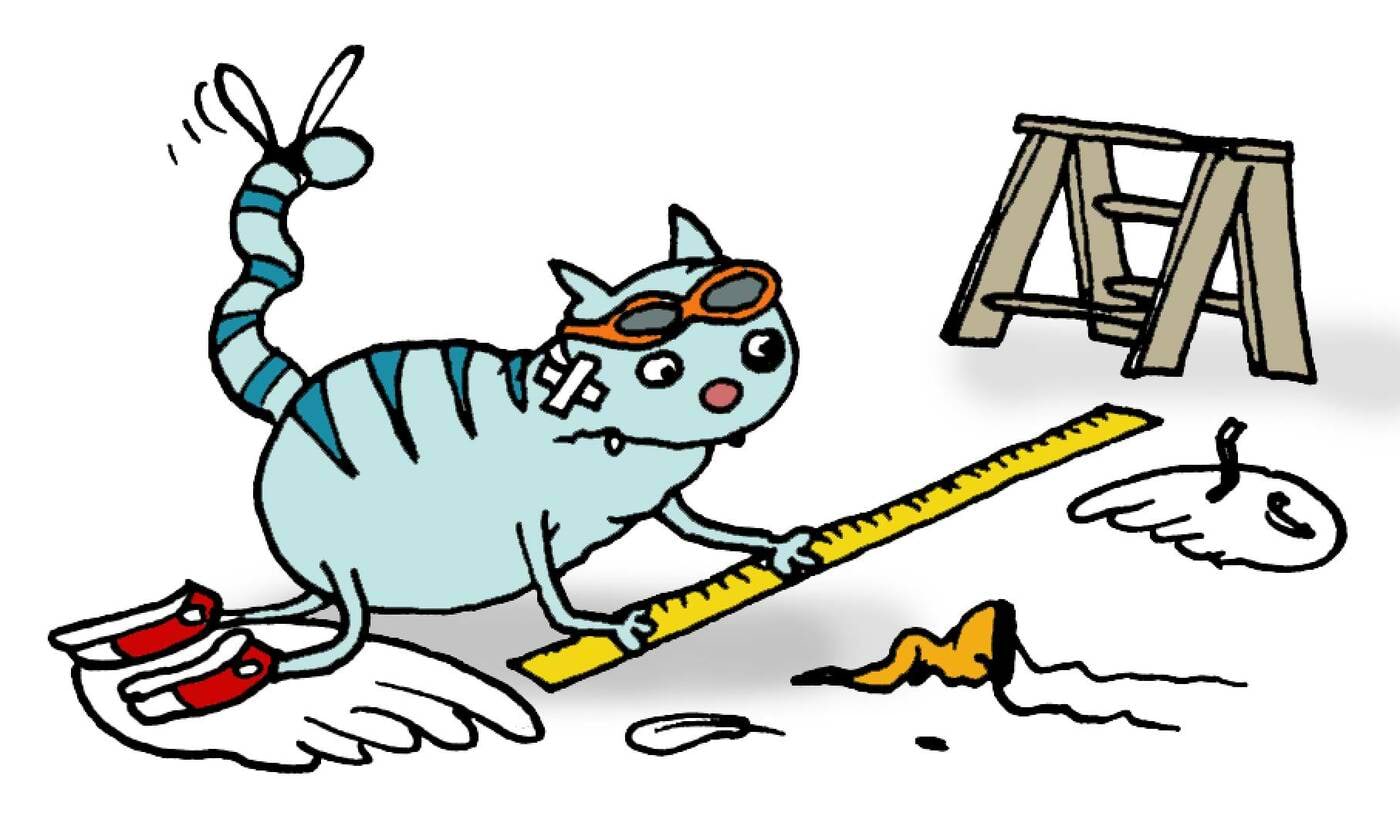 Kass analüüsib katse tulemusi