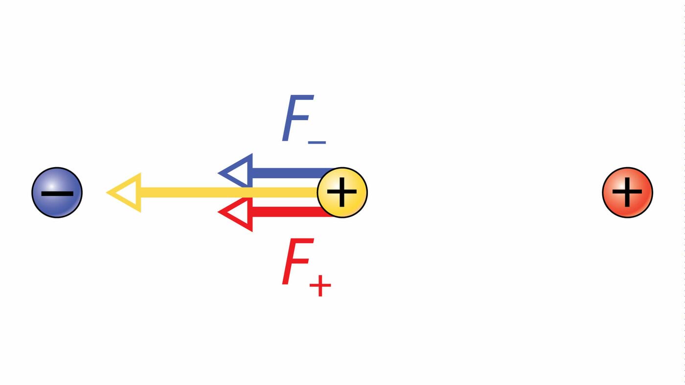 Elektriväljas proovilaengule mõjuv jõud