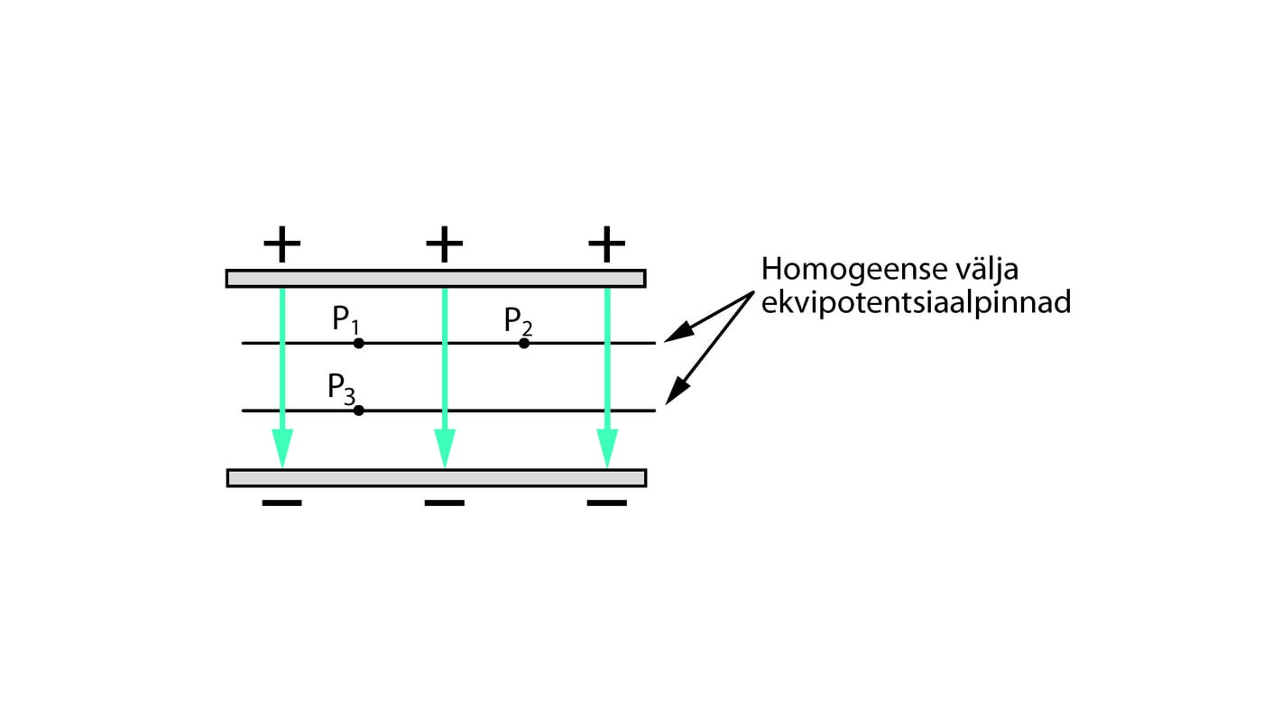 Homogeense elektrivälja ekvipotentsiaalpinnad