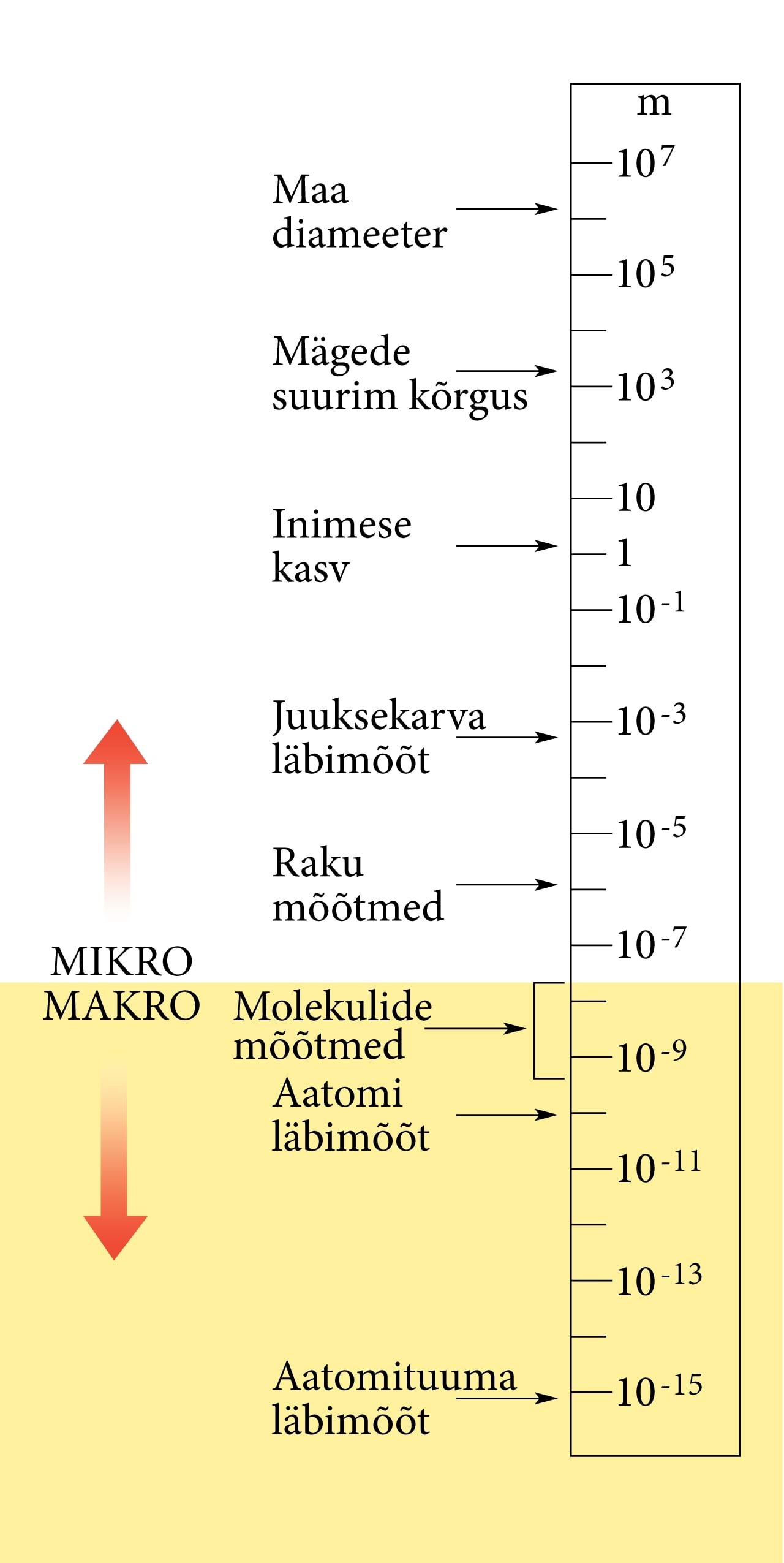 Mikro Makro