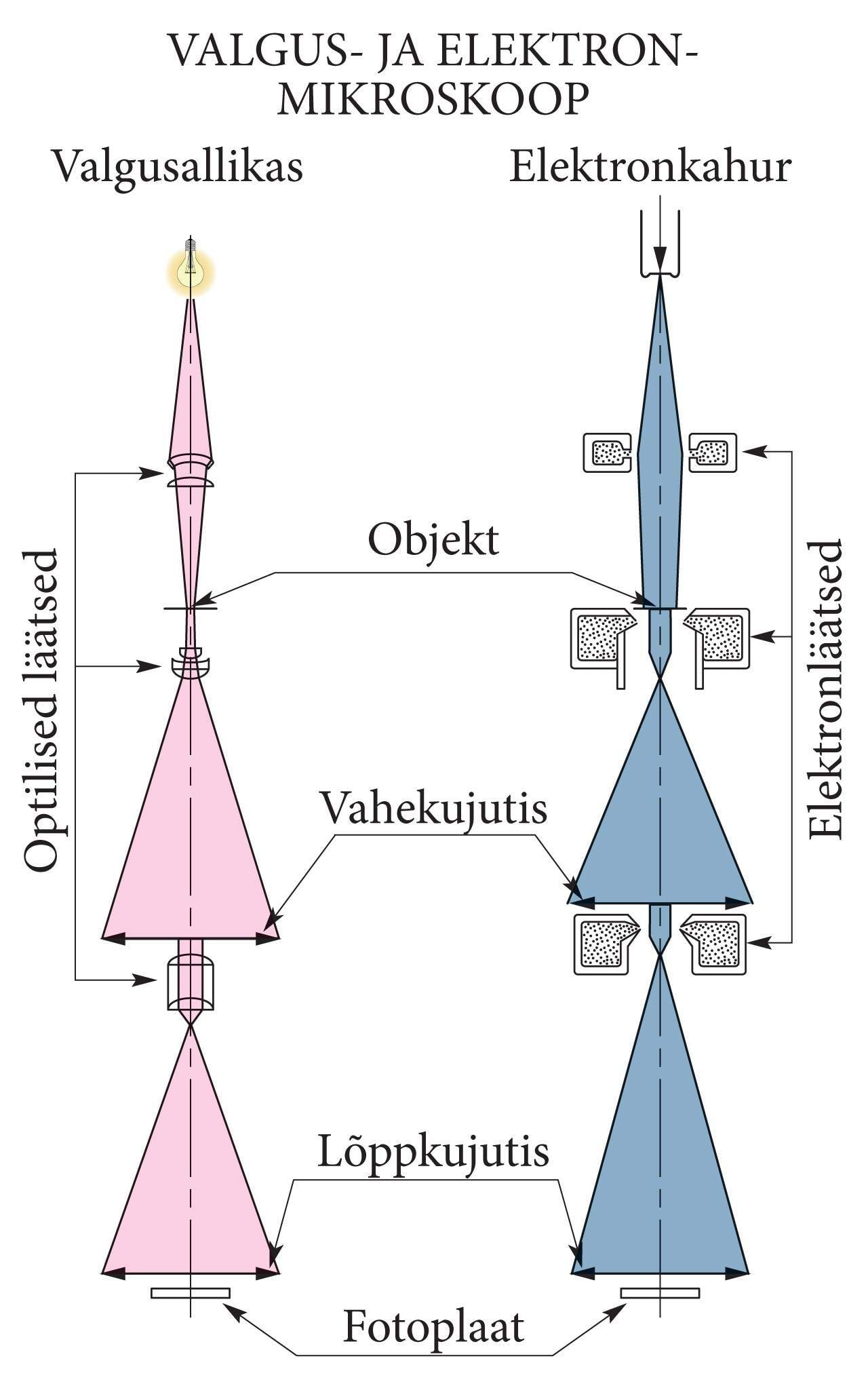 Valgus- ja elektronmikroskoop