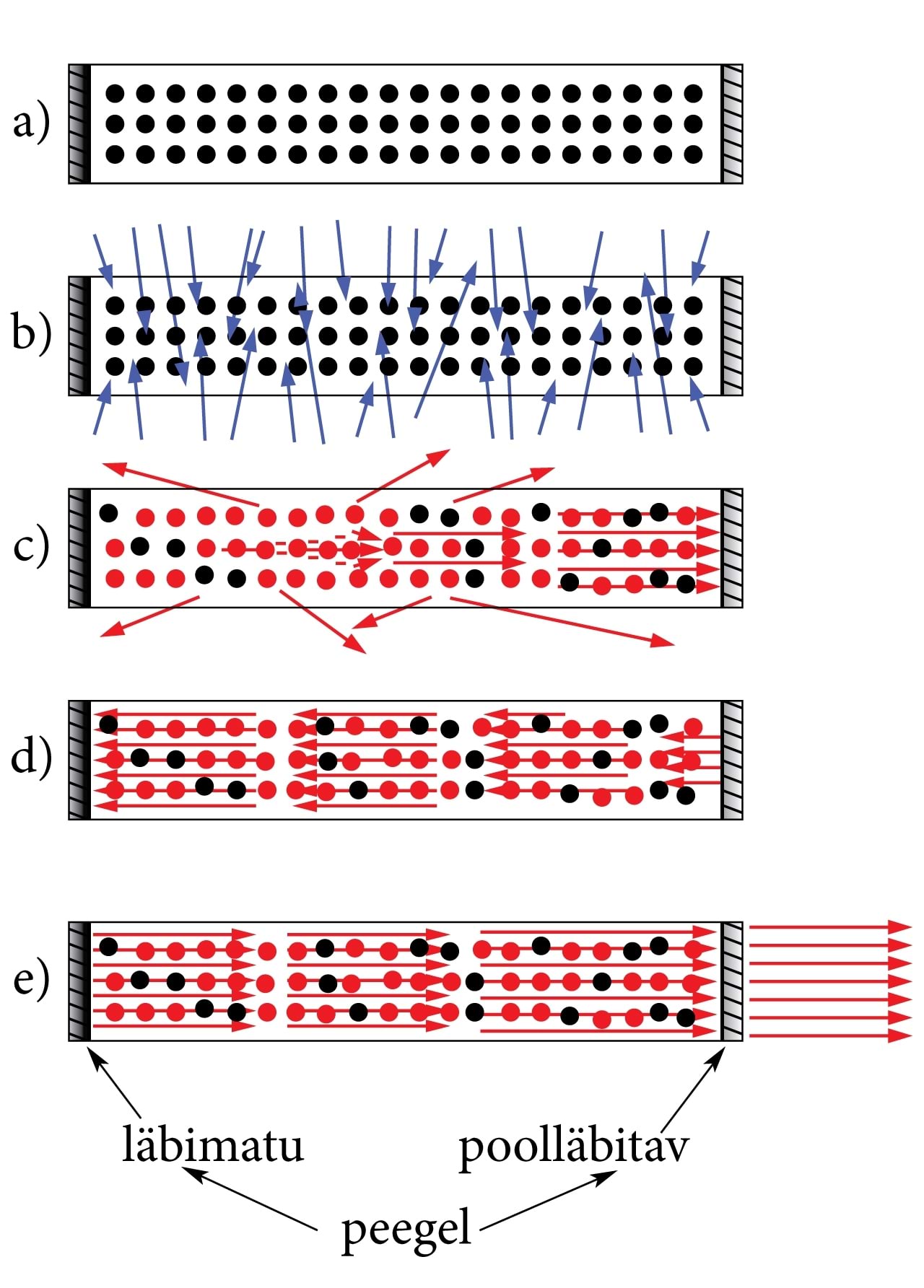 Koherentsete footonite laviini tekkimine
