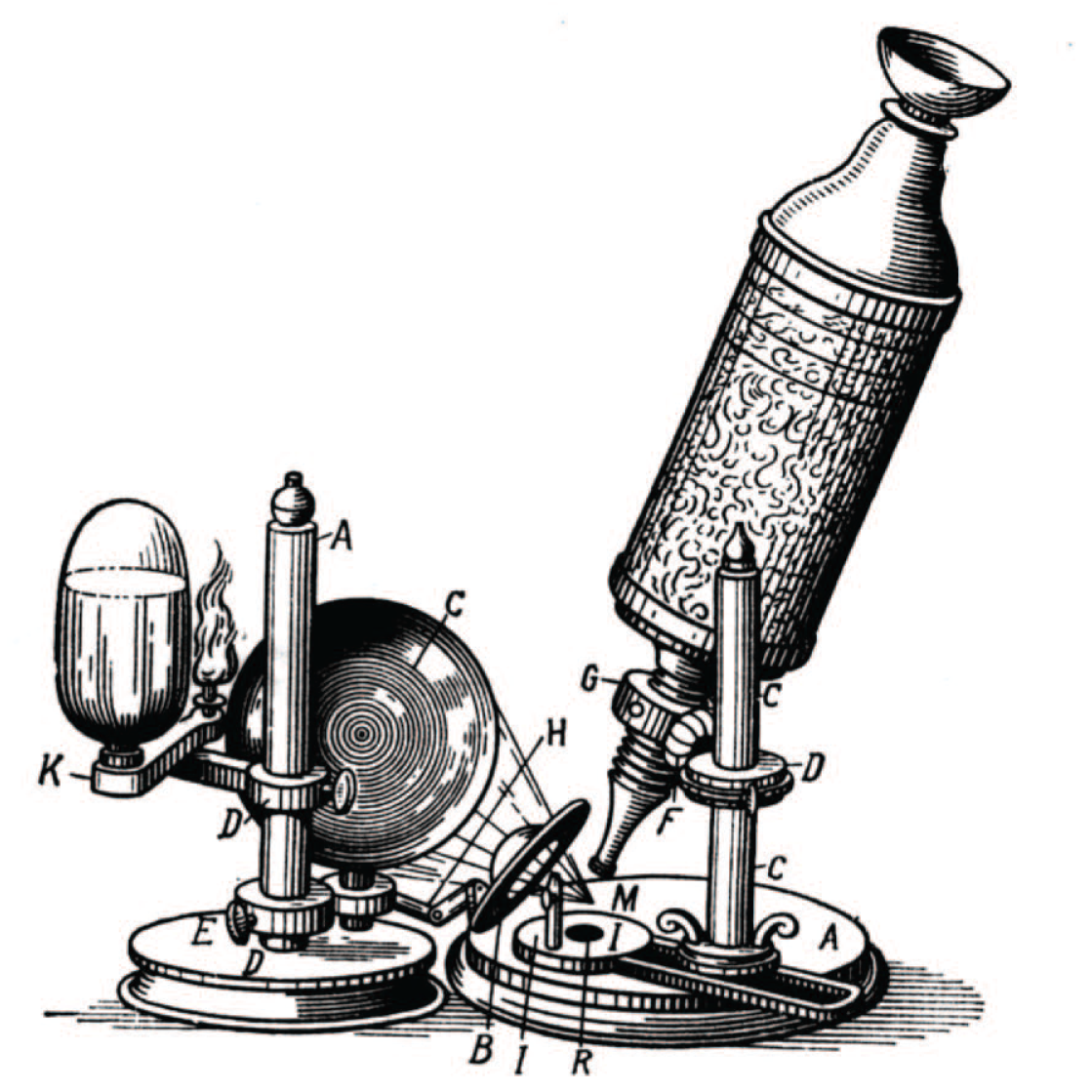 Joonis 17. Hooke i mikroskoop.