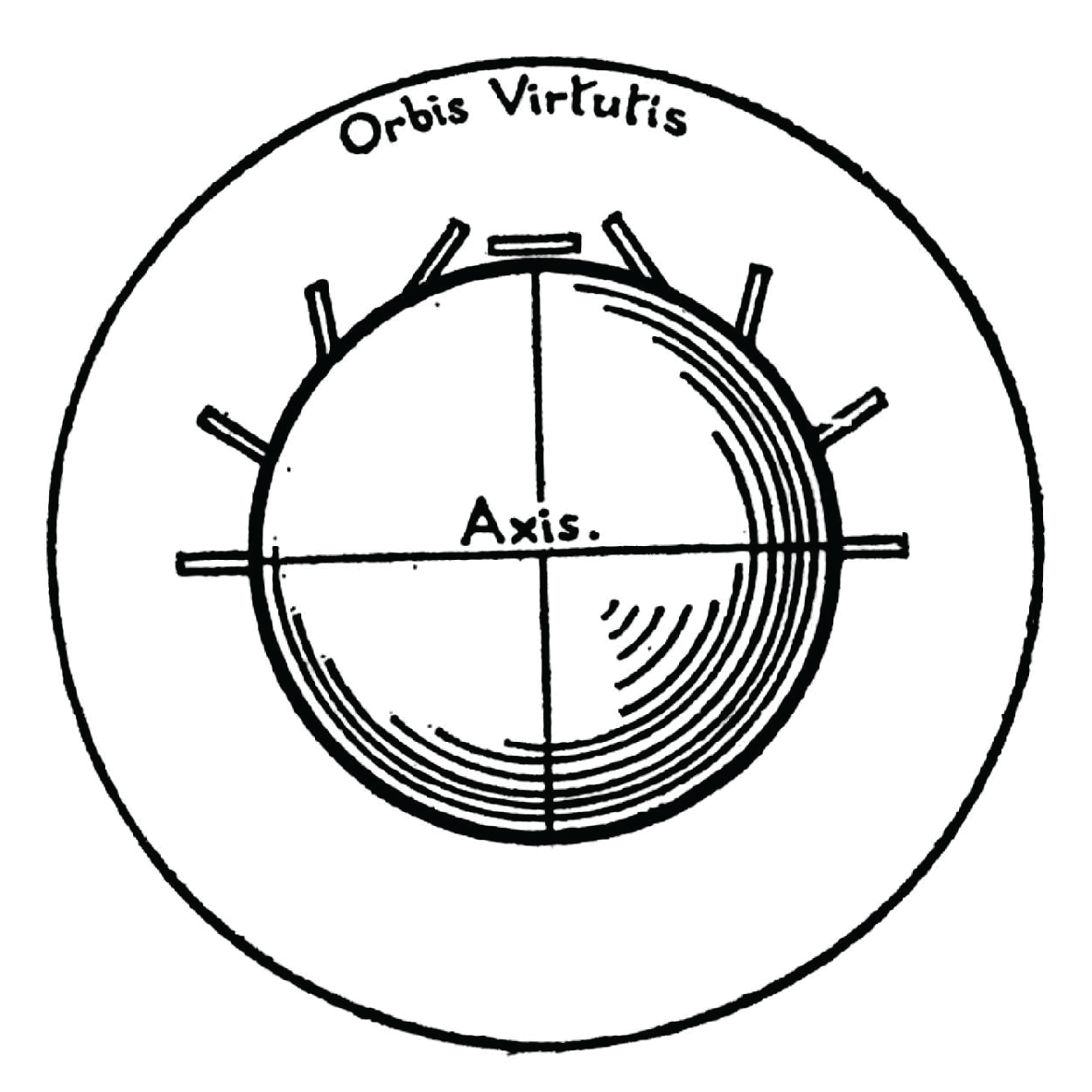 Joonis 22. Gilberti terrella.<br>