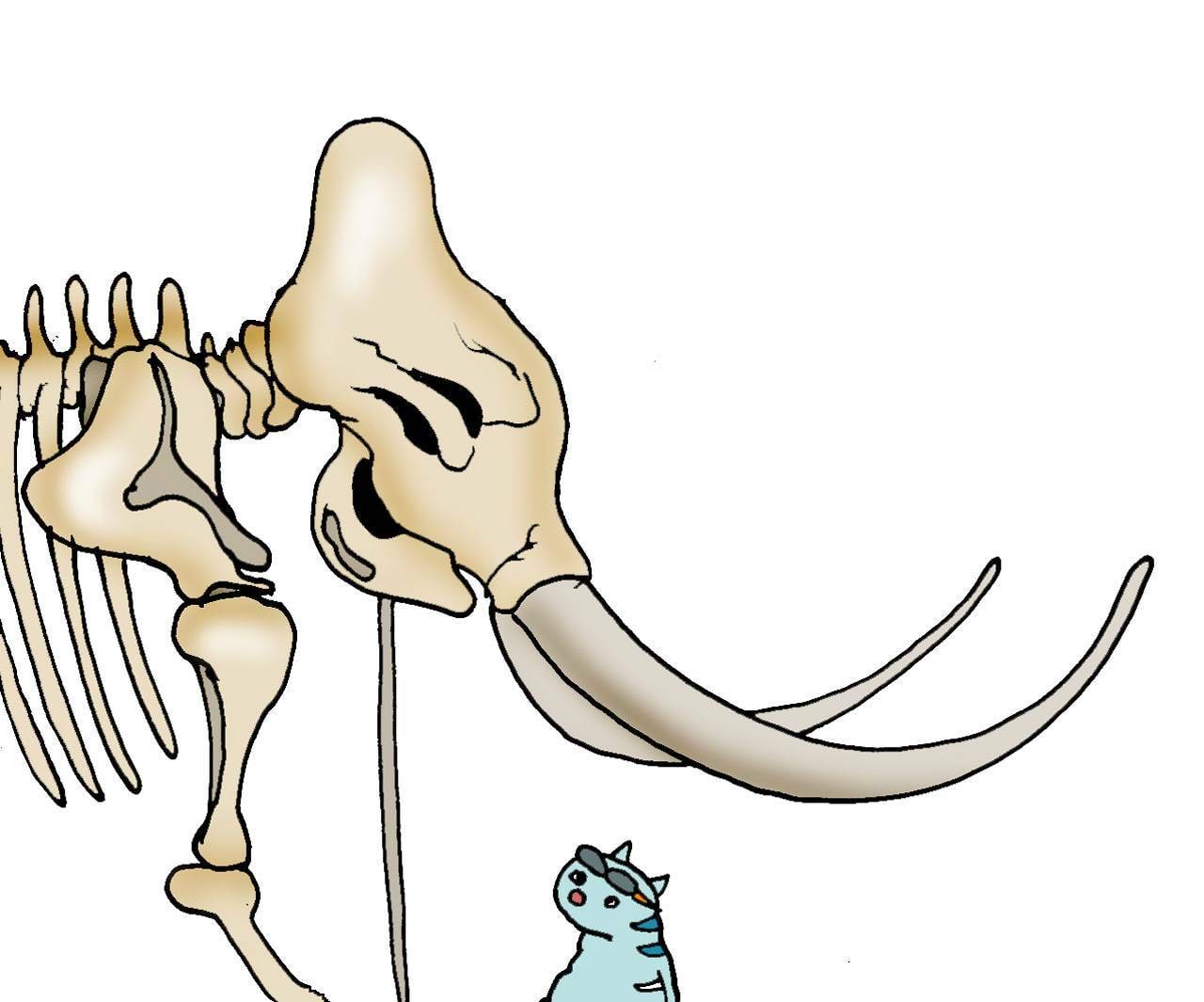 Radiosüsiniku meetod arheoloogiliste leidude vanuse määramiseks (kassipilt)