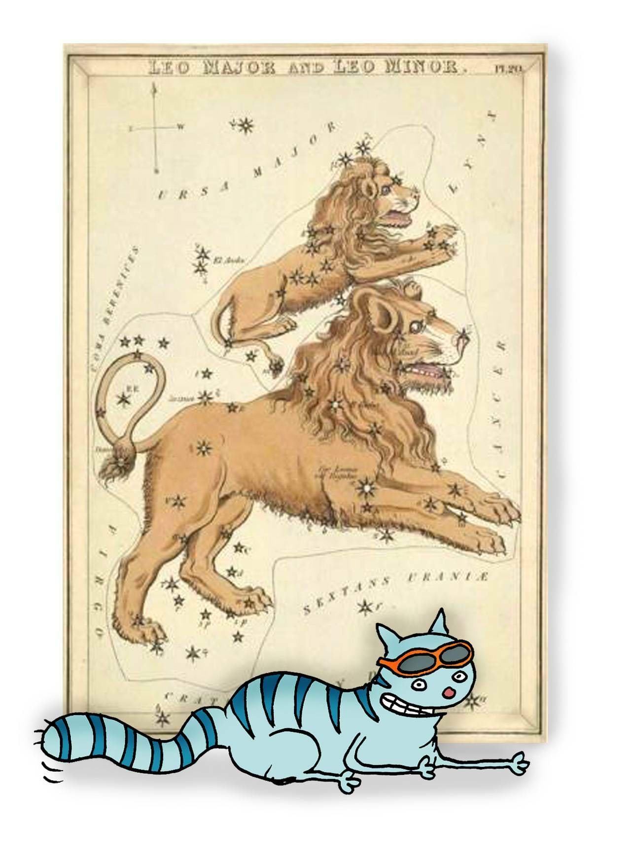 Tähtkujud taevakaartidel (kassipilt)