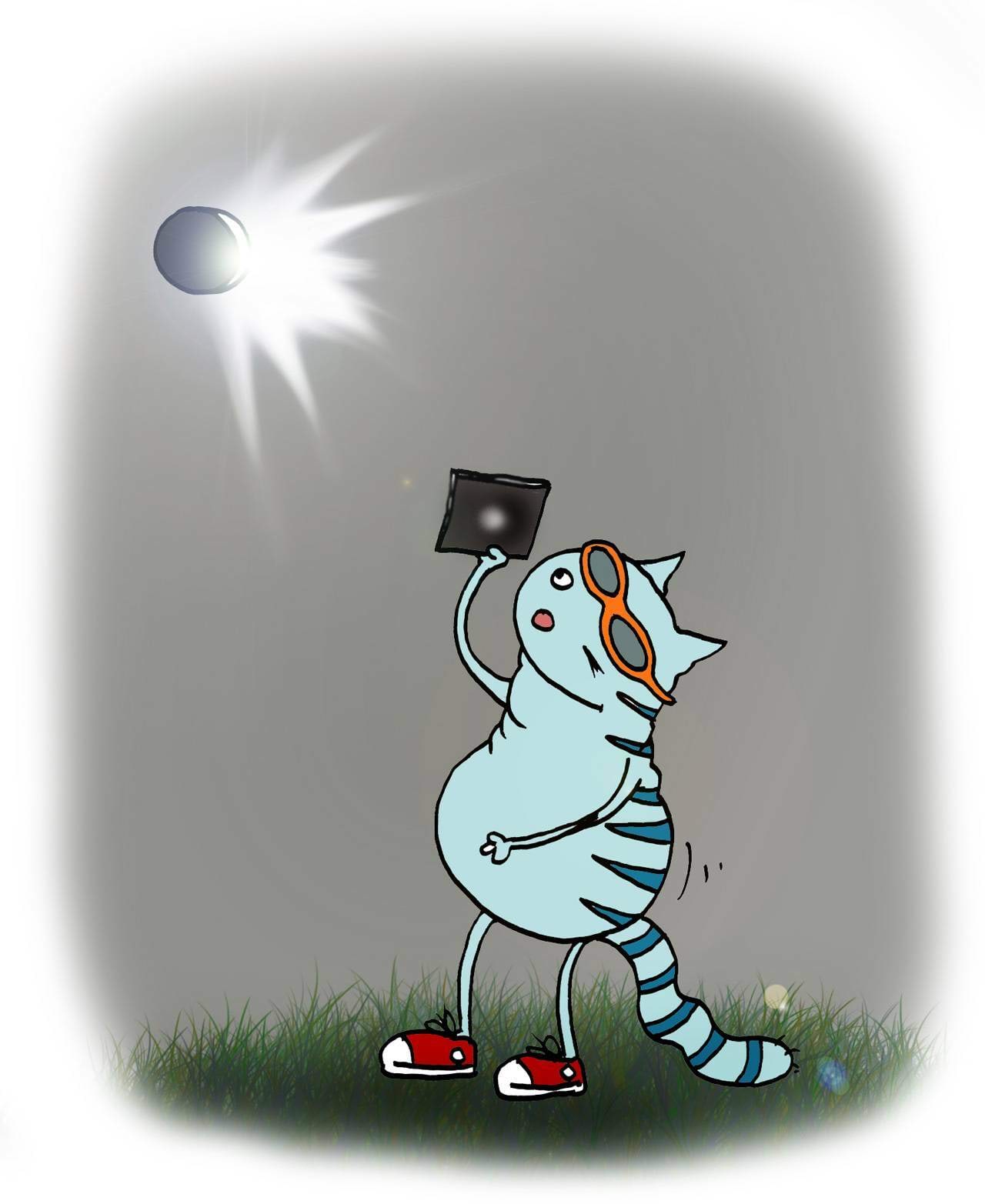 Kass vaatleb päikesevarjutust (kassipilt)