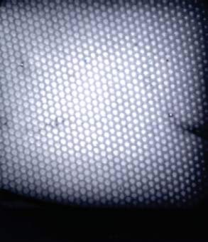 Merihiir - elektronmikroskoobis