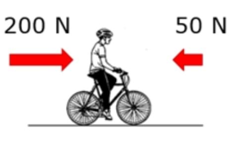Jalgrattur sõidab 1