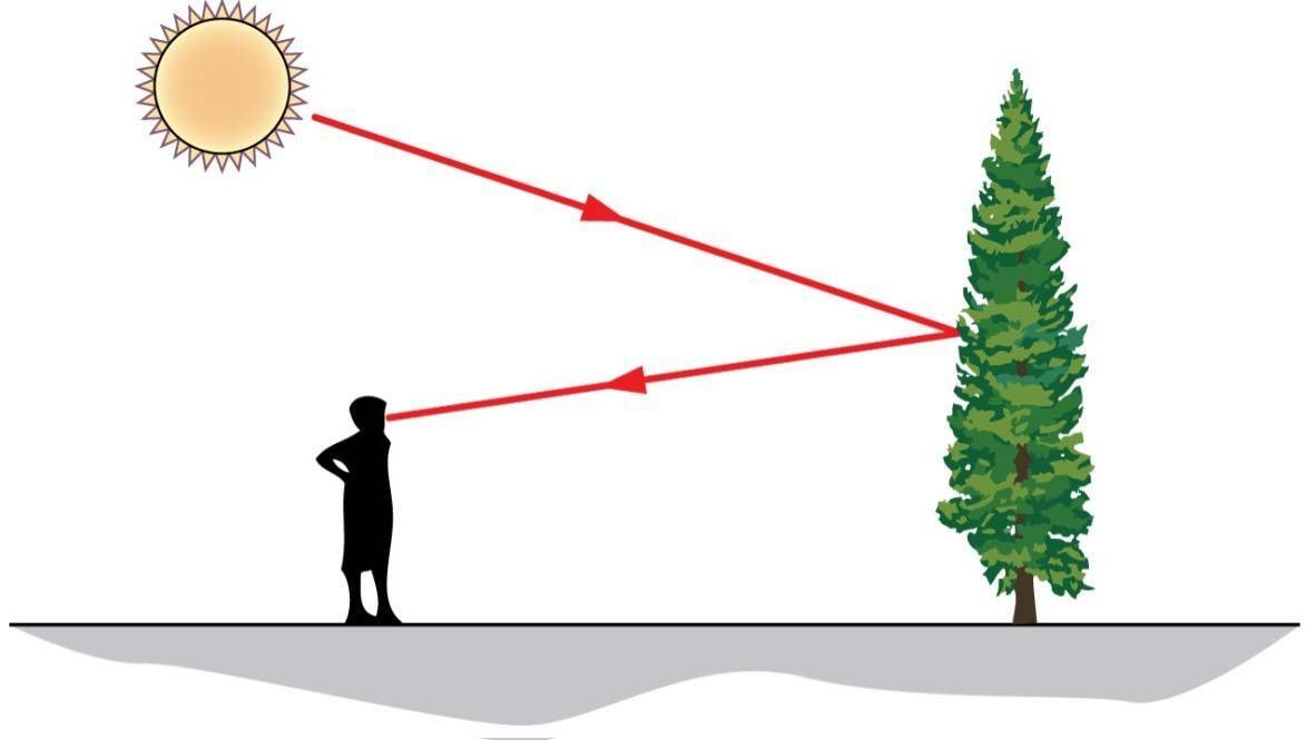 Joonis sellest kuidas me näeme