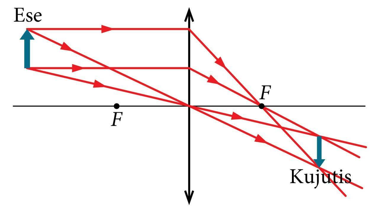Noole kujutise konstrueerimine
