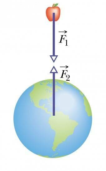 Õun ja maa tõmbavad üksteist