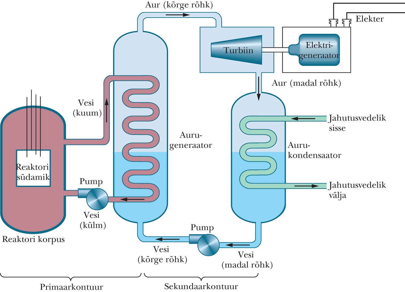 Surveveereaktoril põhineva tuumajaama lihtsustatud skeem