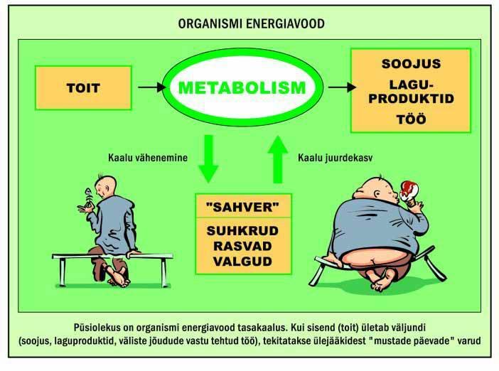 Organismi energiavood